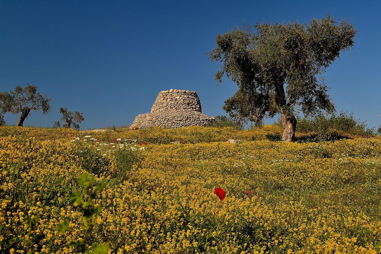 Meraviglie Del Salento ポルト・チェザーレオ エクステリア 写真